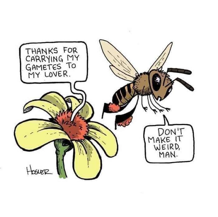 Funny science....pollination