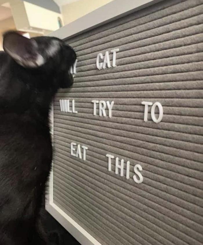 *nom*