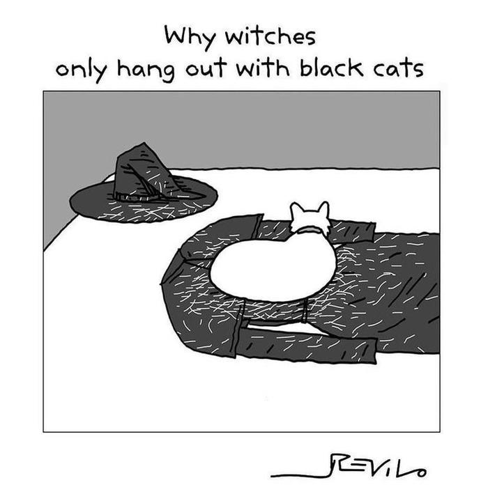 Witches &amp; black cats