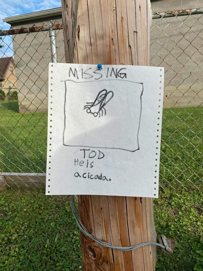It’s worth a try.