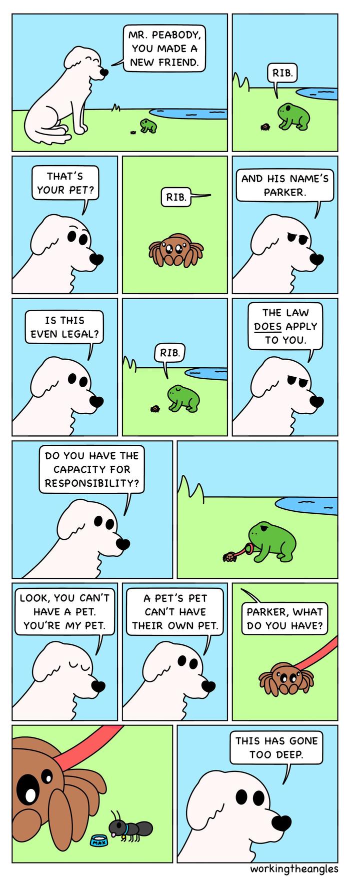 Down The Ribbit Hole (OC)