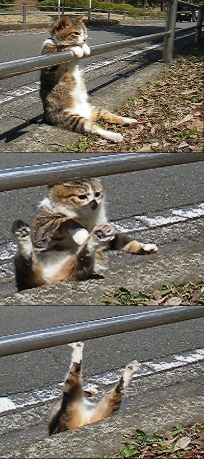 Catastrophe