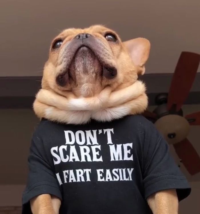 You have been warned...