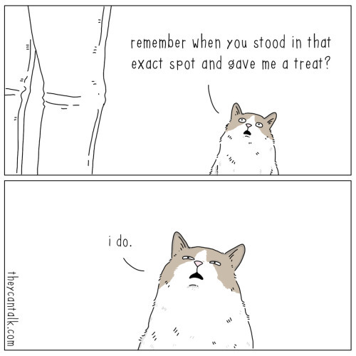 remember