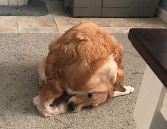 Took some work, but he got it.