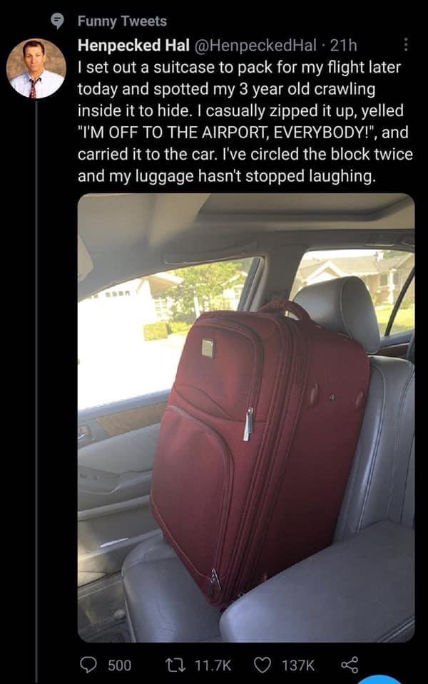 Adorably funny