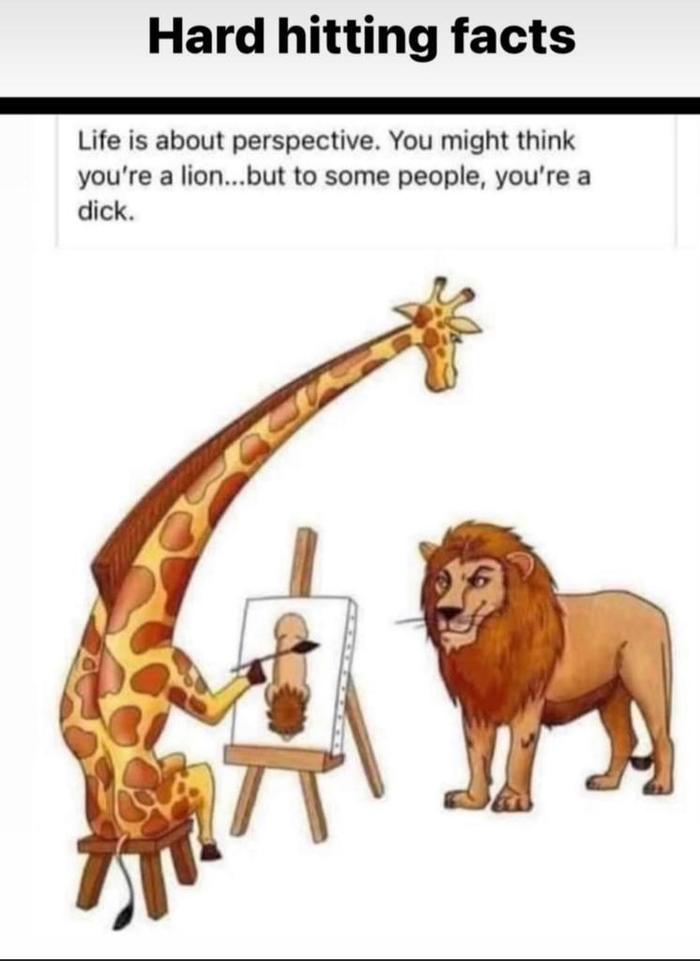 Perspective matters 😂