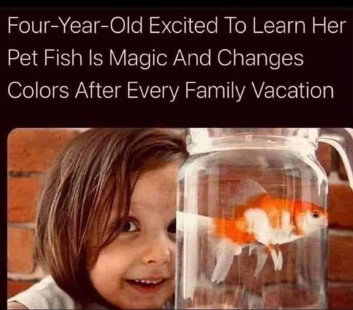 It's amazing the types of fish you can find at the local pet shop.