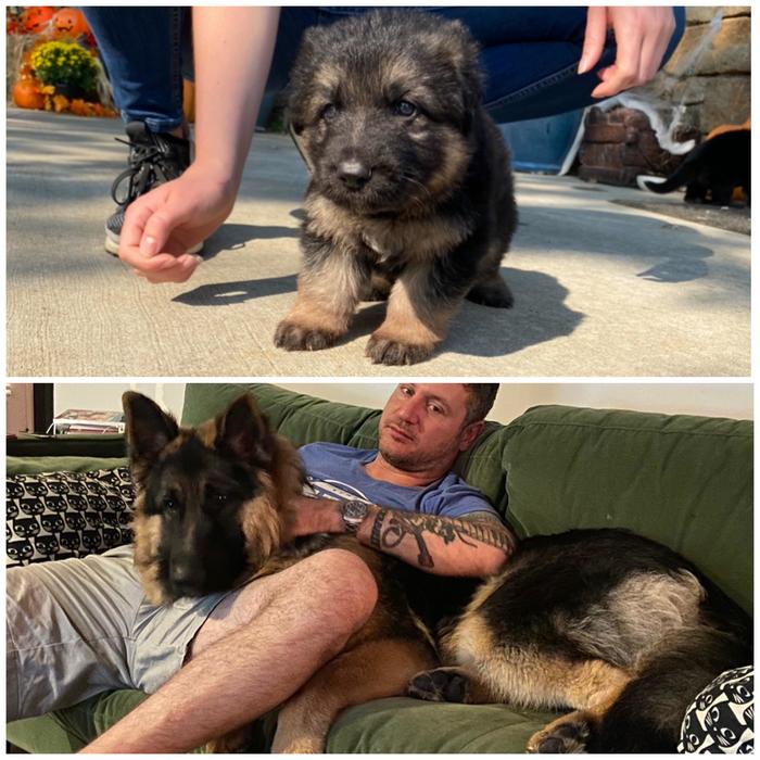 My wife said he wouldn’t get that big, but he got big.