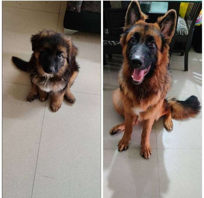 In just 5 months