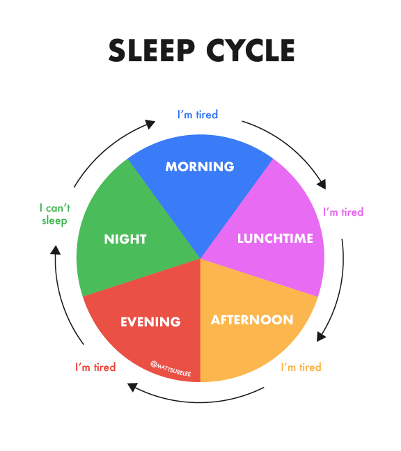 Sleep cycle (oc)