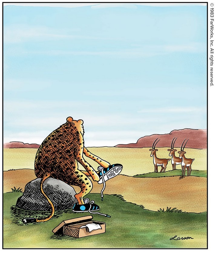 Pumas?