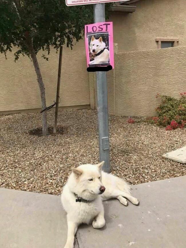 I think I found him!