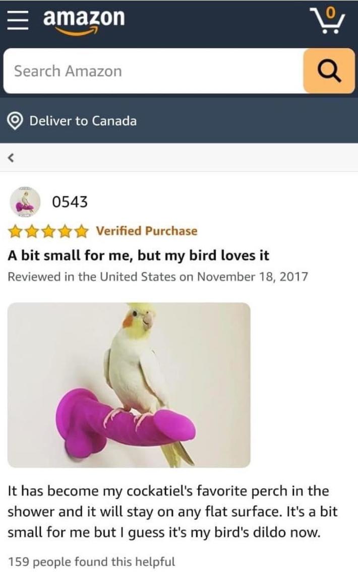 Bird dildo