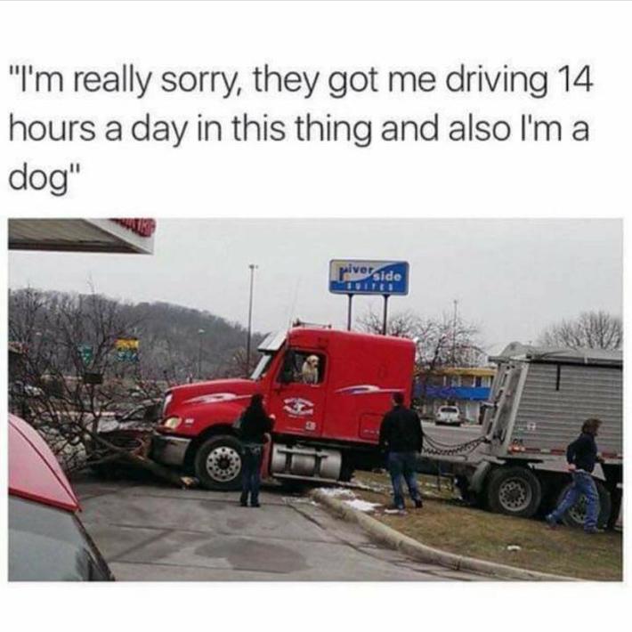 Understandable.