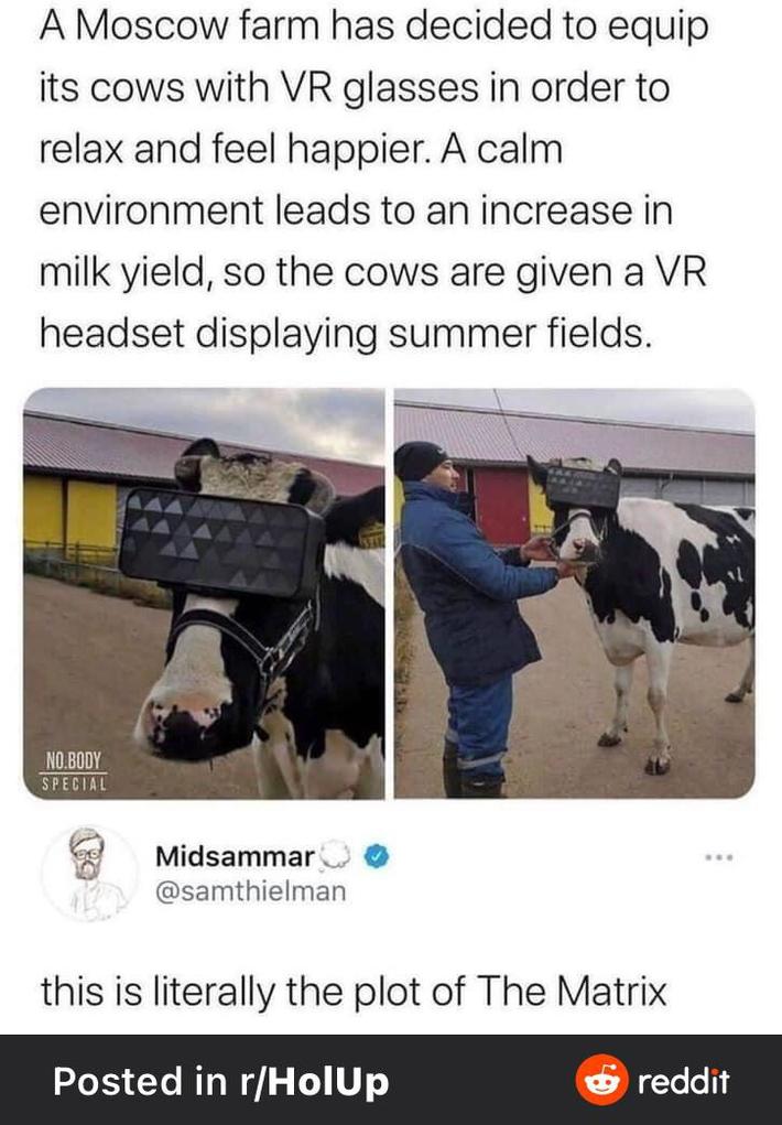 He’s not wrong.