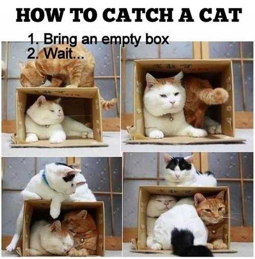EZ Do it yourself!