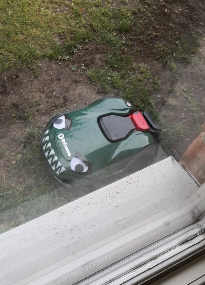 After I hurt my foot mowing the lawn, my wife bought and decorated a robomower.