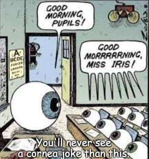 Good morning!