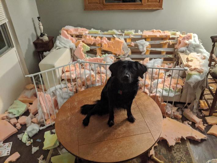 You are NOT going to believe what happened while you were gone