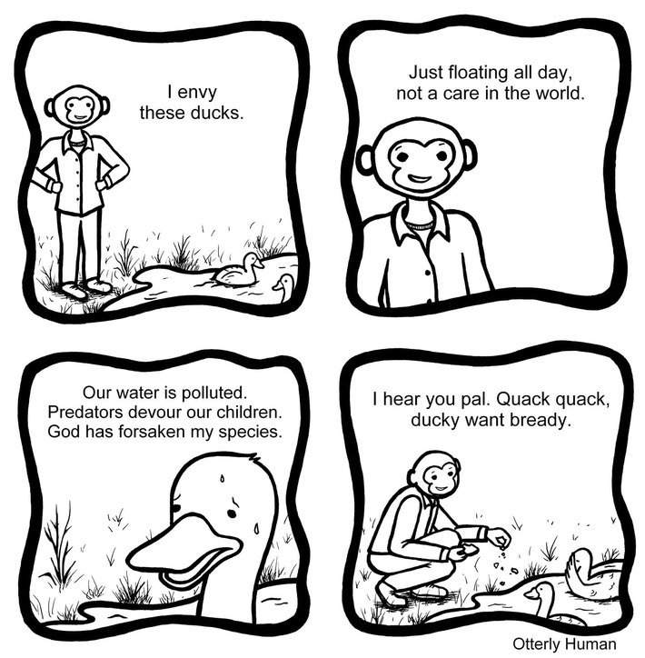 Duck Pond [OC]