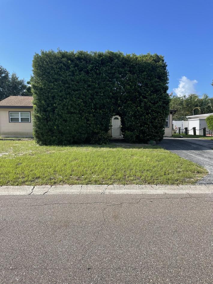 I warned my girlfriend of my huge bush…