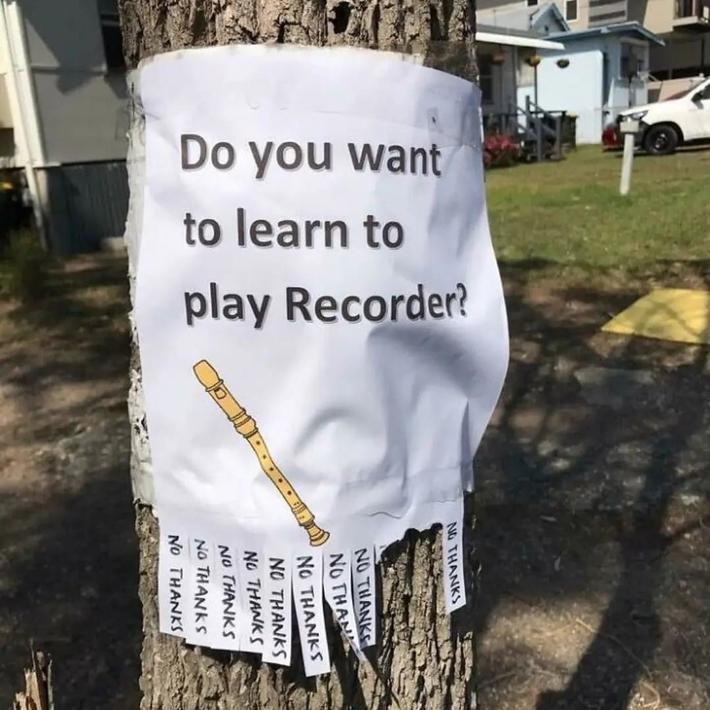 Do you want to learn to play Recorder?