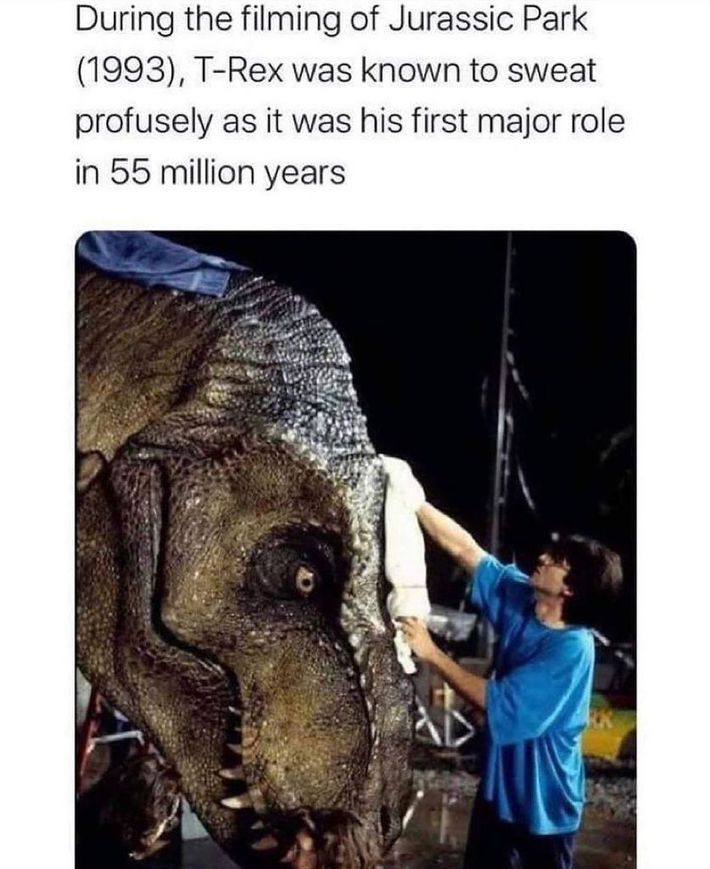 I feel sorry for that Rex