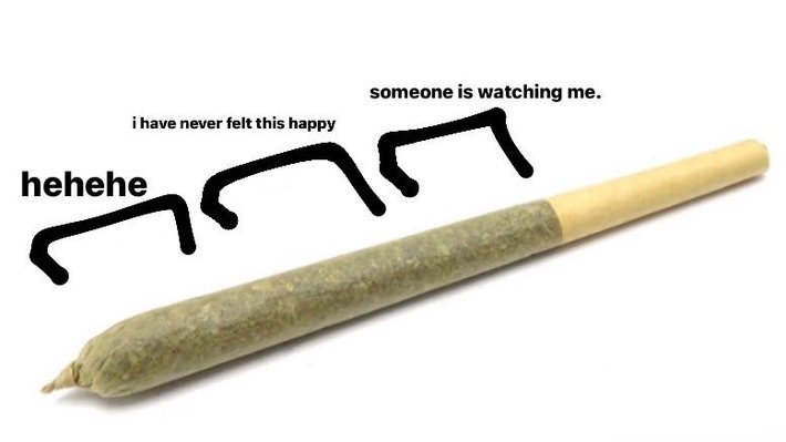 Stages of smoking a joint.