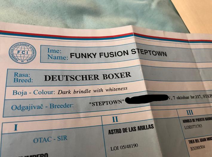 My dog is from Serbia, just found out his legal name .