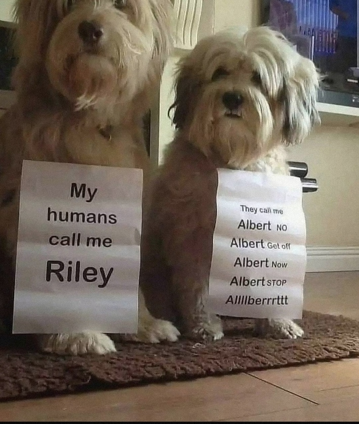 Alberrrrtttttttt!!!!!