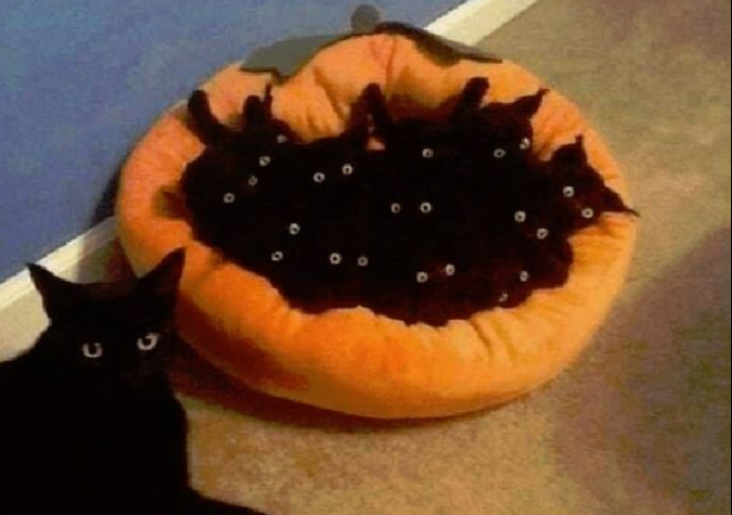 The Eyes Have It!