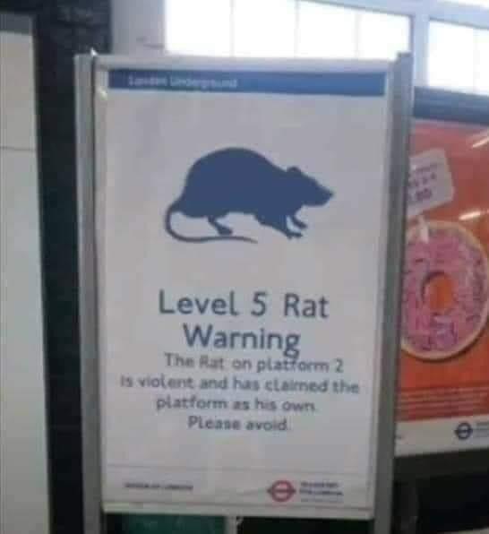 Is level 5 high or low