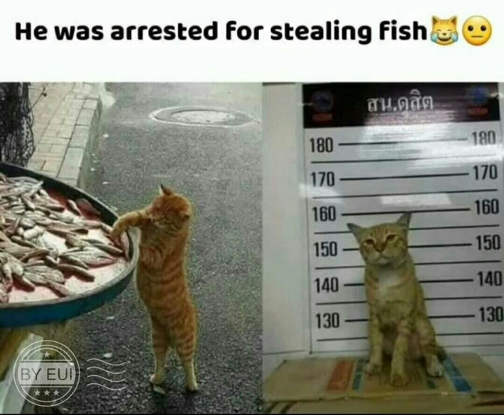 See ya'll in Prison