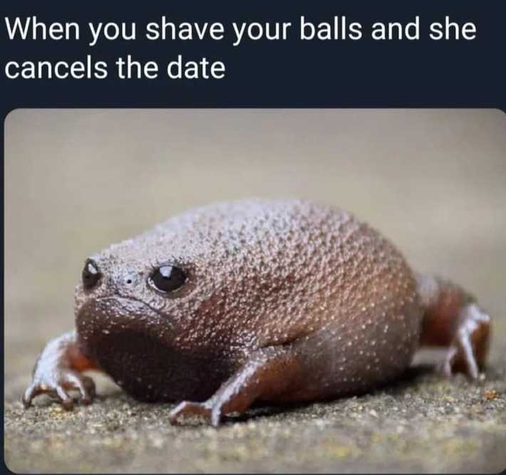 The Feels