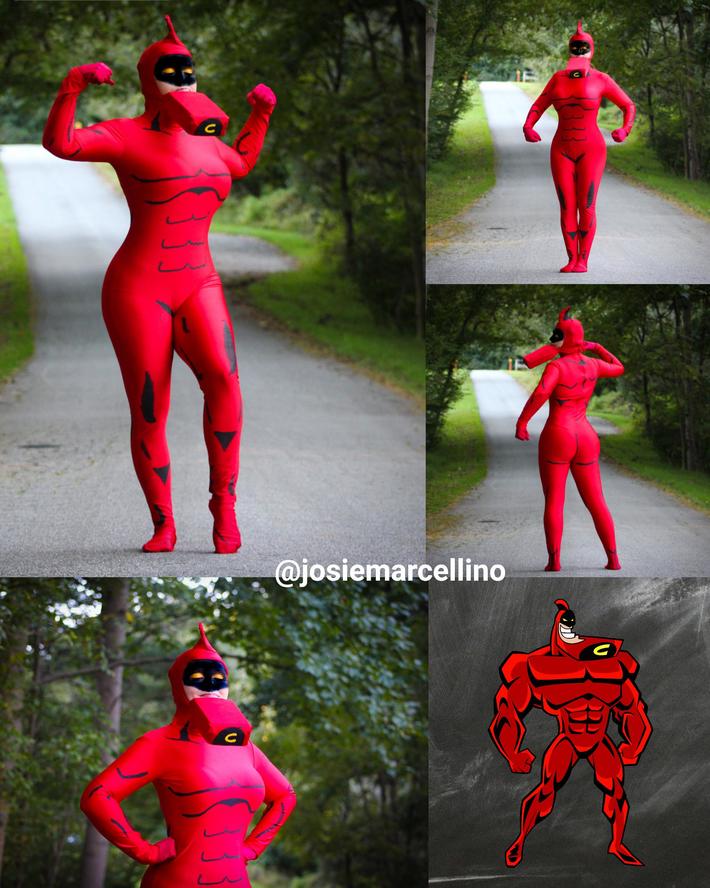 I'm doing a costume a day for the month of October. Today I went as the fever dream that is The Crimson Chin