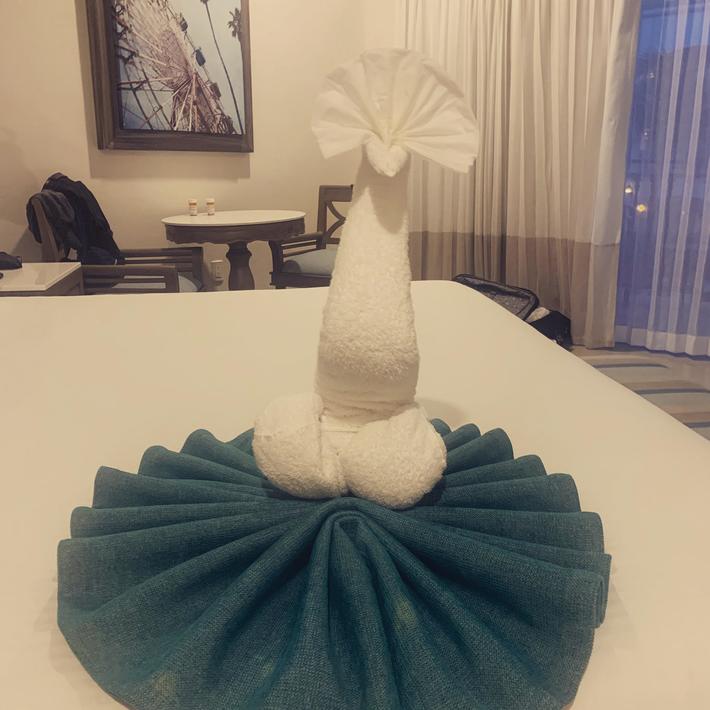 This towel "swan" left on our hotel room bed in Mexico doesn't quite look like a swan to me...
