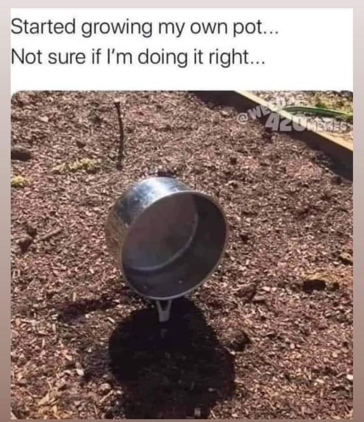 Want some pot?