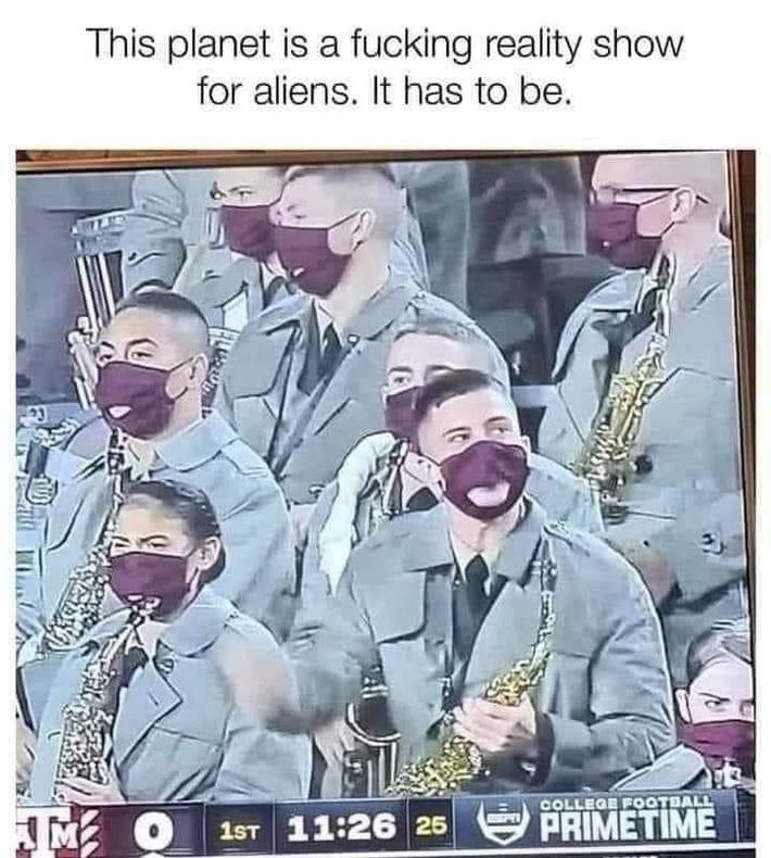 We have to be an alien TV reality show.