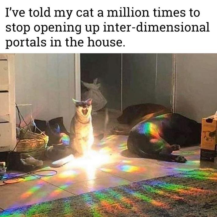 Just a cat thing…