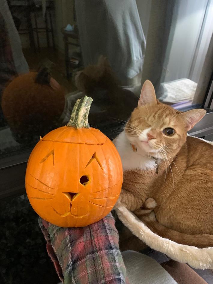 Happy Halloween