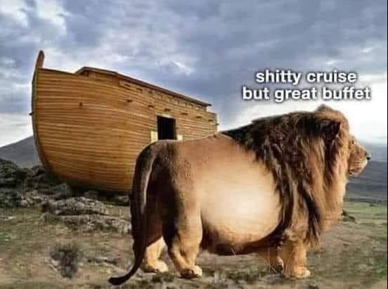 Lion was hungry :(