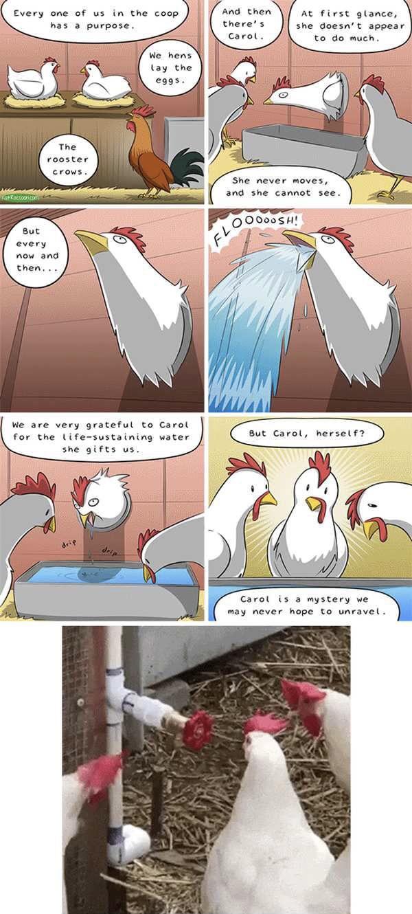 Carol is a mystery