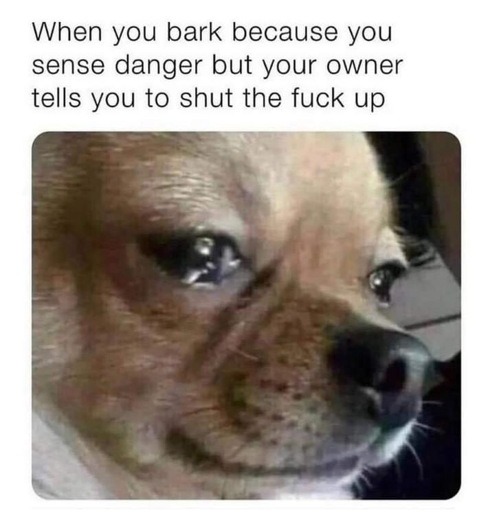 Why am i here just to suffer
