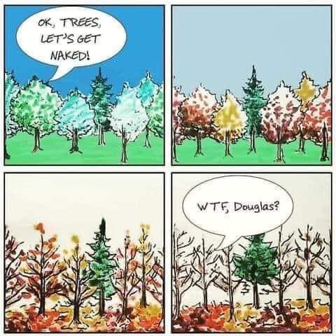 That time of the year