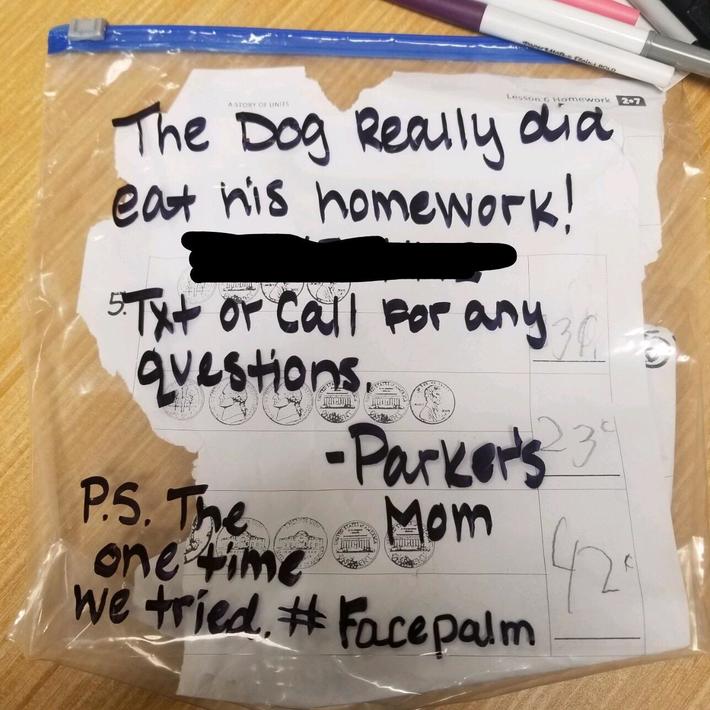 Student handed this in today