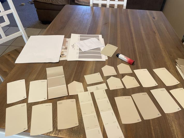 My wife chose some really exciting paint colors!
