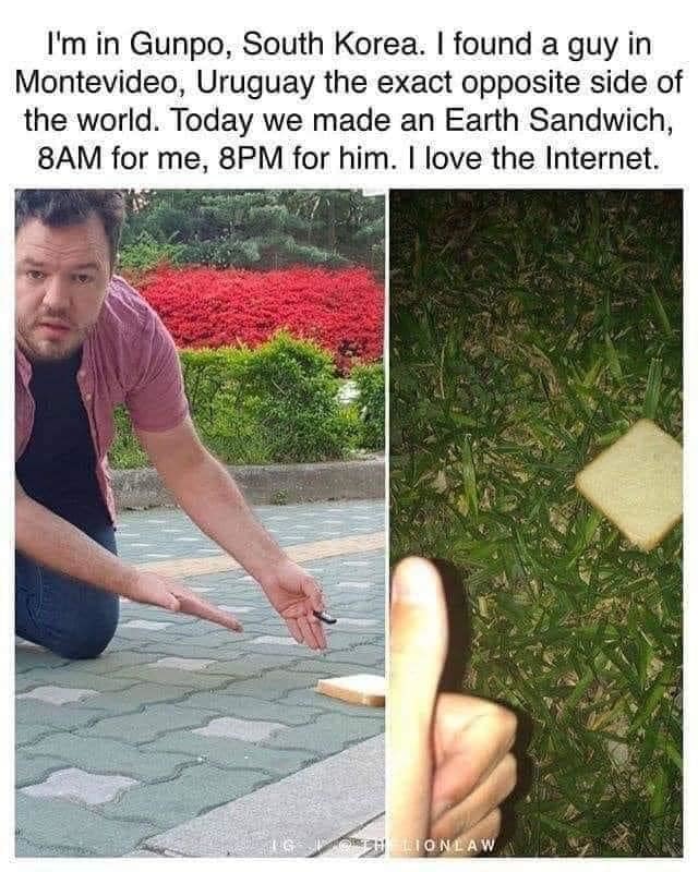 Brilliant. Could use some bacon though...