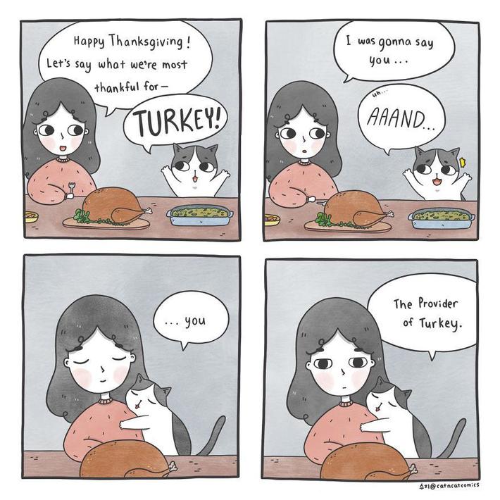 Thanksgiving is coming 🦃