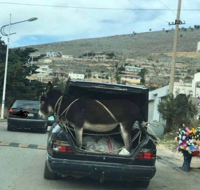 Dude literally hauling ass